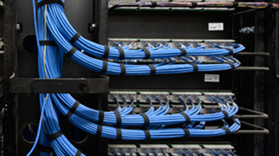 Organized bundles of blue network cables connected to server rack